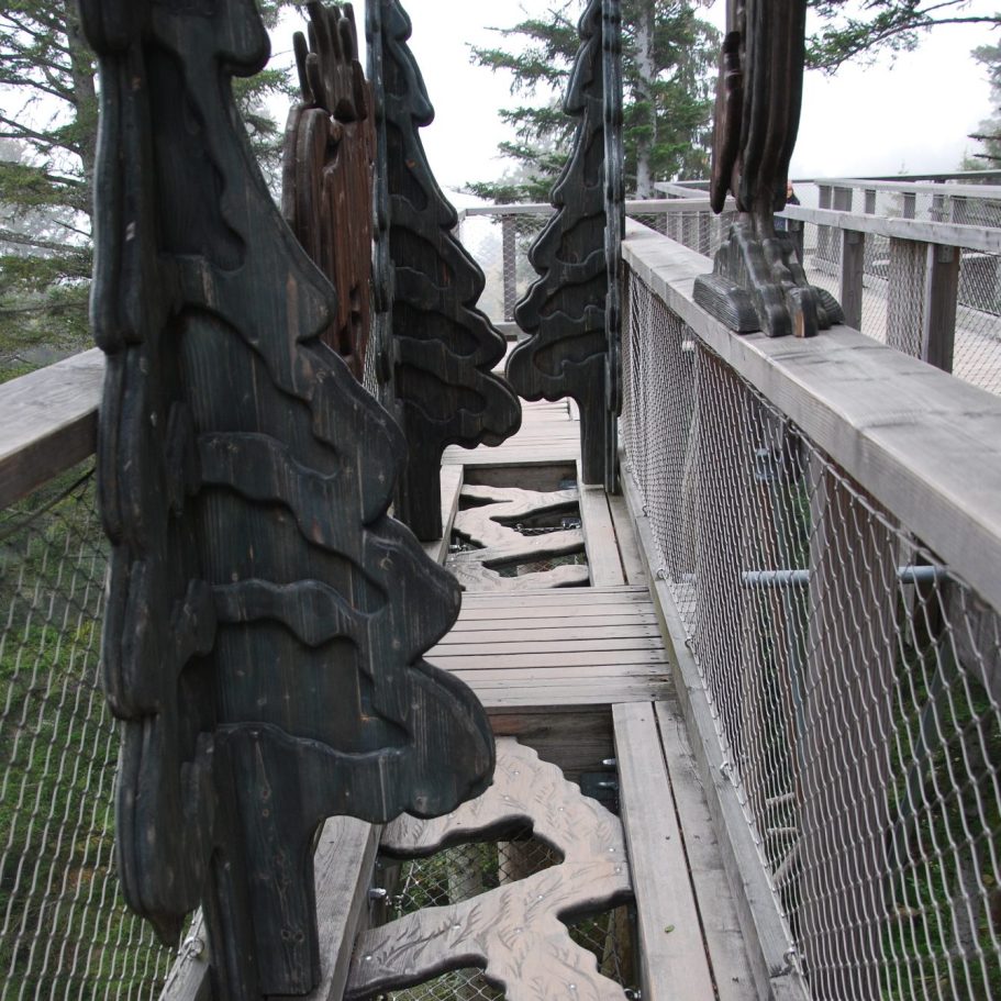 Brücke Es ist eine Brücke aus Holz hoch oben in den Baumwipfeln zu sehen. Die Geländer der Brücke werden von Tannen aus Holz gesäumt.